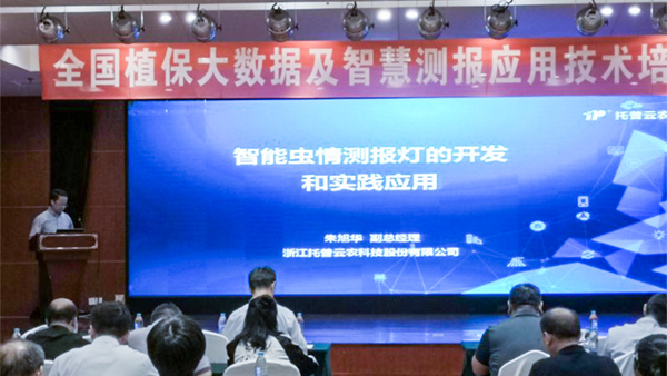 麻豆操逼视频常务副总经理朱旭华作了专题汇报