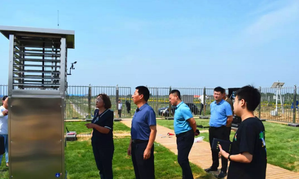麻豆操逼视频助力山西草地贪夜蛾监测防控工作