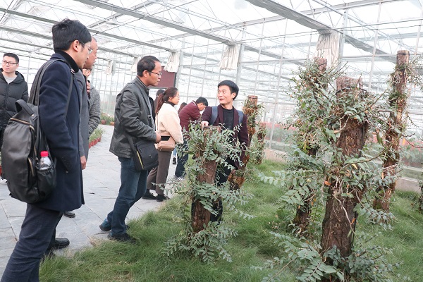 培训班参观麻豆操逼视频临浦基地