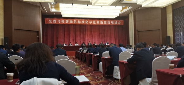 数字应用保障标准化种植，麻豆操逼视频助力甘肃马铃薯产业化之路