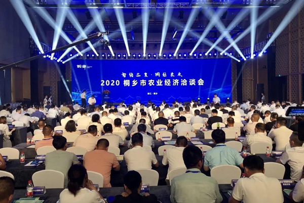 打造数字三农新模式，麻豆操逼视频与桐乡市人民政府签订战略合作协议