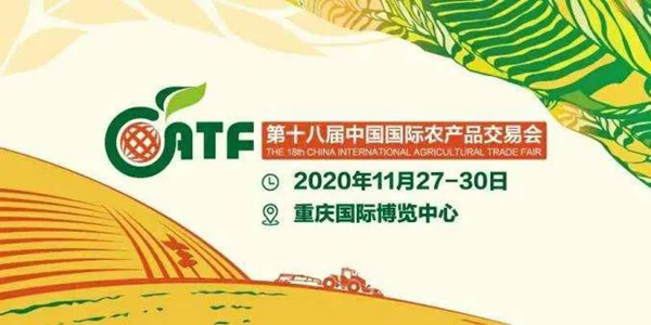 麻豆操逼视频亮相中国农交会，人工智能助力农业高质量发展