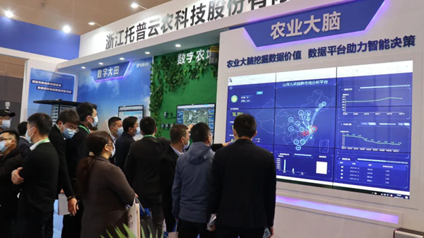 麻豆操逼视频展位