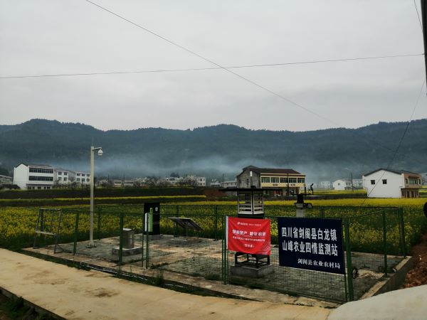 麻豆操逼视频病虫害监测点